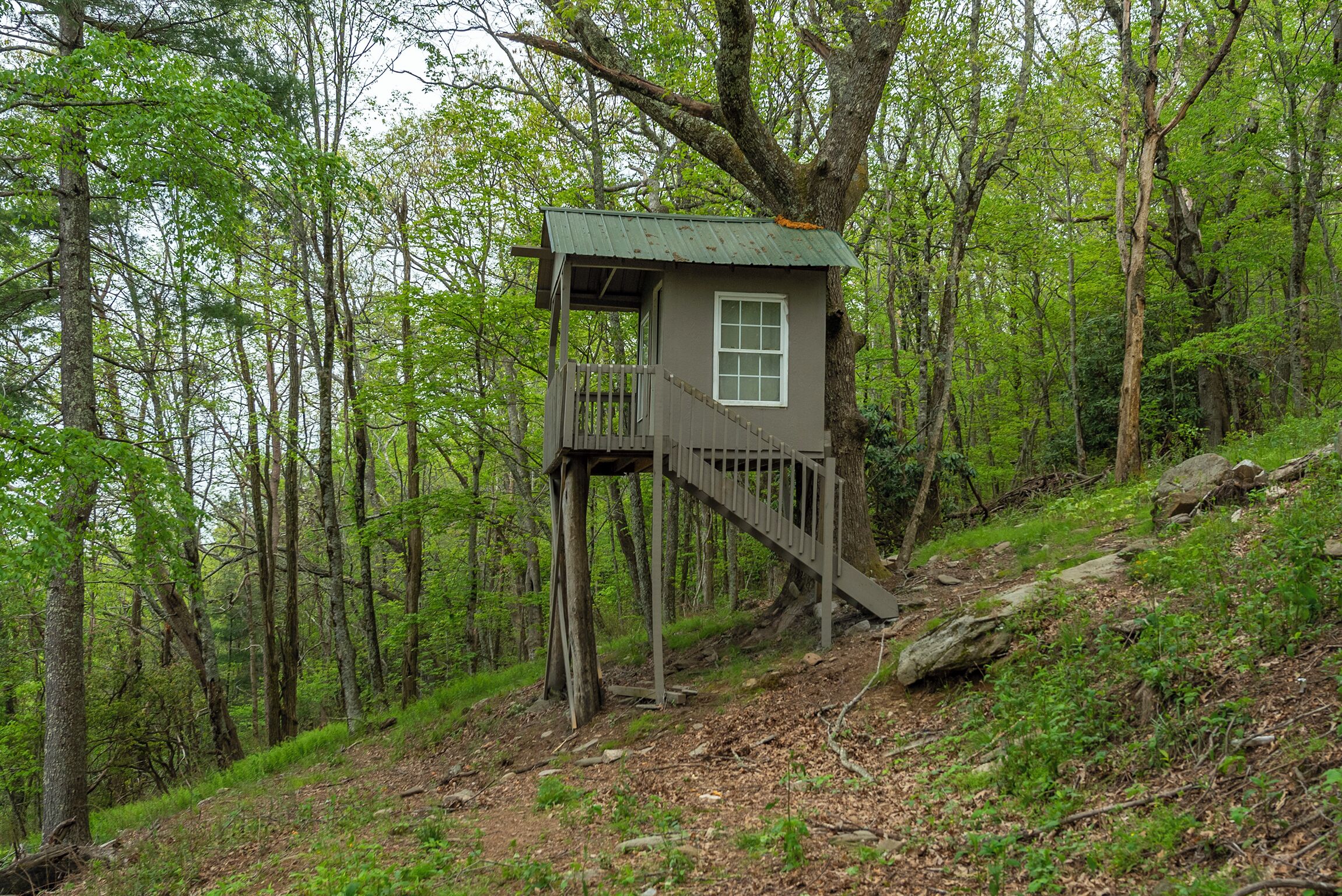 A treehouse with a wooden staircase and a window, surrounded by a forest.