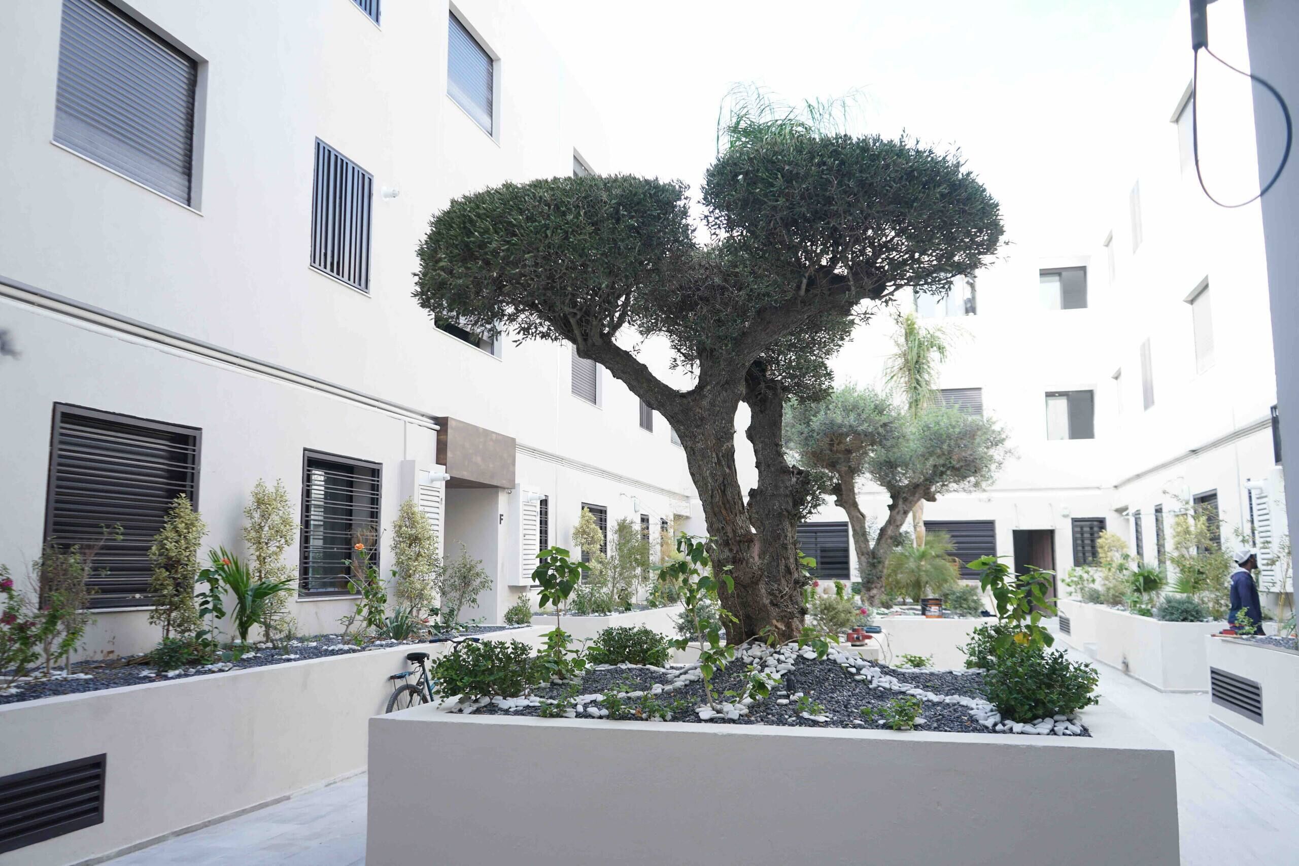 Ein Innenhof mit einem großen Baum, Kübelpflanzen und einem Gebäude mit mehreren Fenstern und Balkonen.