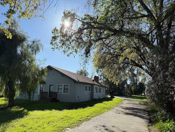 A single-story house with a sloped roof, a front porch, and a paved driveway. - Beautiful Rustic 4-bedroom farm house with AC in charming Clovis (Clovis)