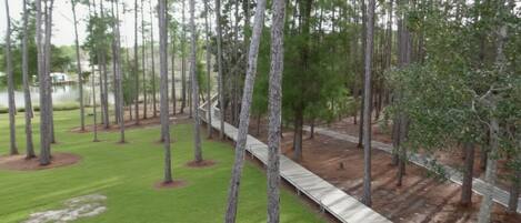 A park with a wooden walkway, green grass, and tall trees.