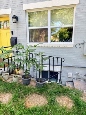 Una casa con una finestra, una porta gialla e una cassetta delle lettere nera.