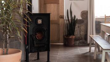 A room with a fireplace, a wooden bench, a potted plant, and a stone wall.