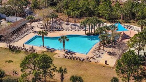 Une grande piscine rectangulaire entourée de chaises longues et de palmiers.