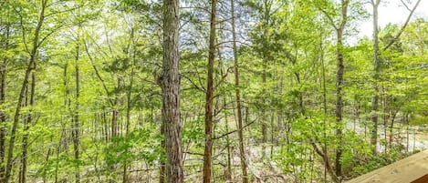 Woodland views from the deck