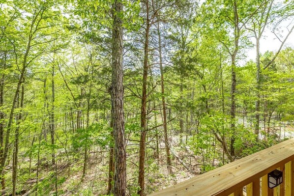 Woodland views from the deck