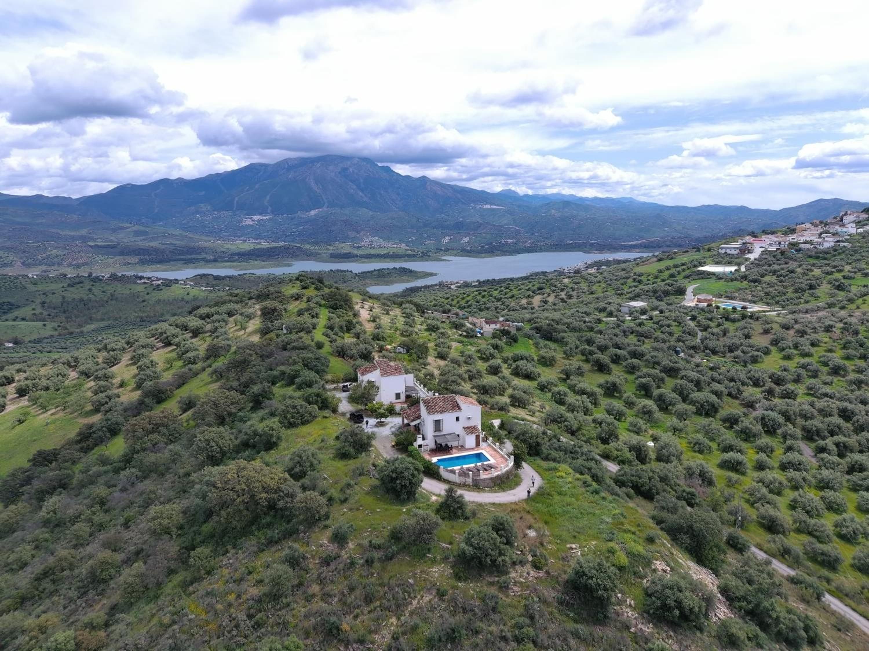 Una villa con piscina rodeada de olivares y montañas al fondo.