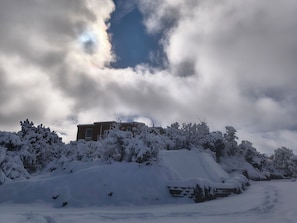 Un edifici envoltat d'arbres coberts de neu i un paisatge nevós.