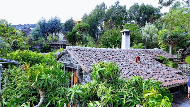 A traditional building with a tiled roof surrounded by lush greenery.