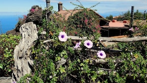 A rustic coastal property with a wooden fence, flowering plants, and a view of the sea.