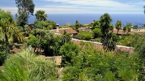 A coastal residential area with houses surrounded by lush vegetation and a view of the ocean.