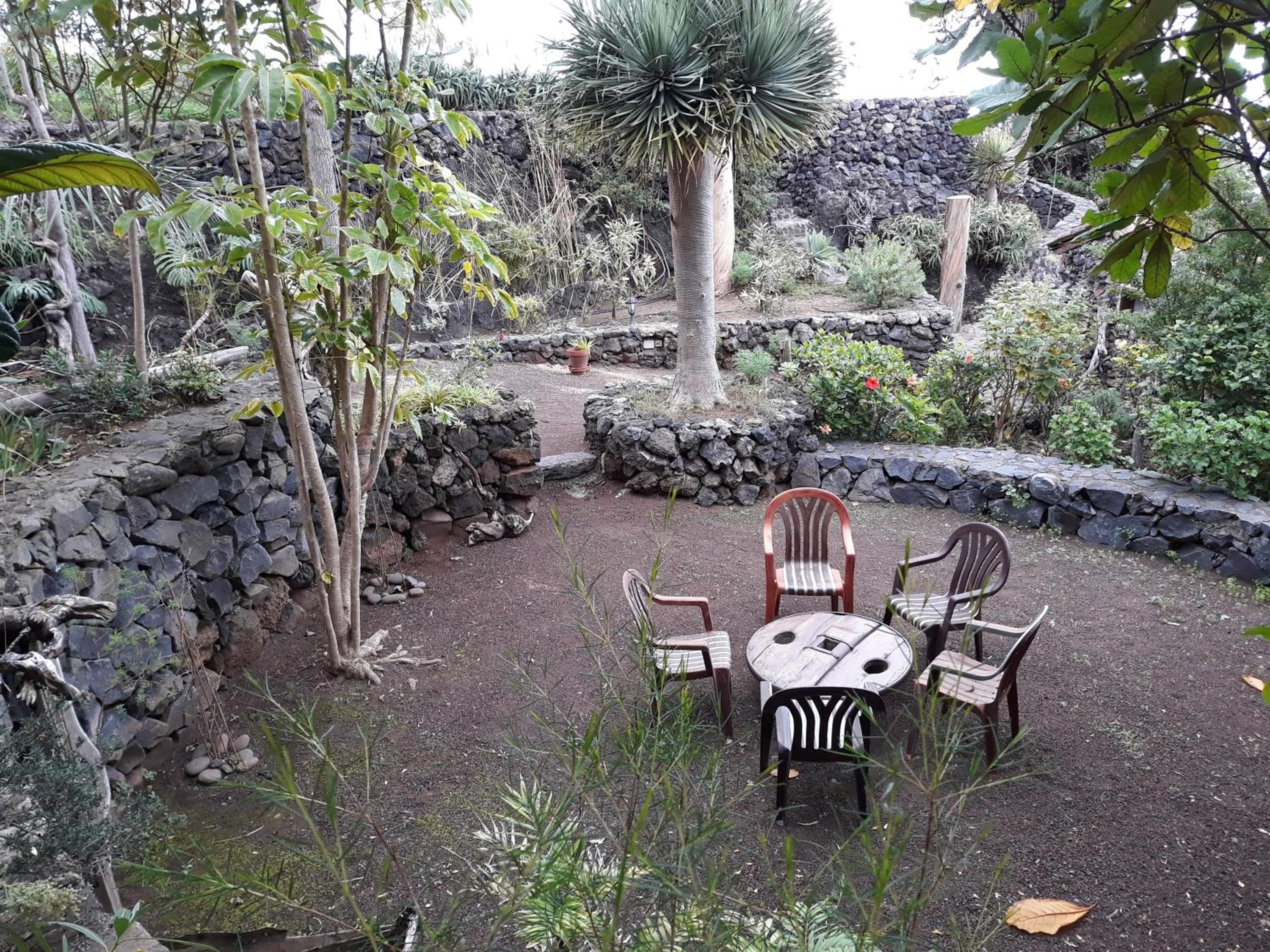 Un espacio al aire libre con muros de piedra y diversas plantas.