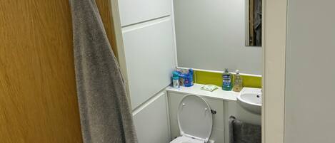 A bathroom with a toilet, a sink, and a mirror.