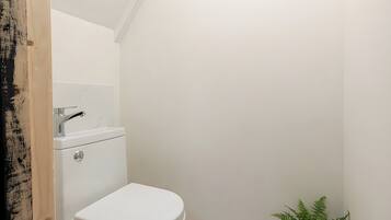 A bathroom with a white toilet, a sink, and a small green plant.