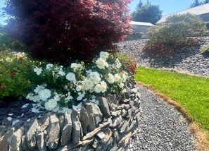 A garden with white flowers and a stone wall. - Luxury Holiday cottages Sleeps 10 (Ystrad Meurig)