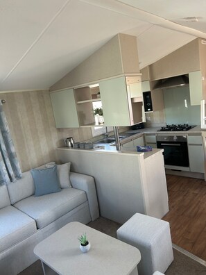 A modern kitchen with a built-in stove, a sink, and a microwave. There is a small island with a plant on it. - Cabin Sleeps 8 with Sea Views and Parking (Morecambe)