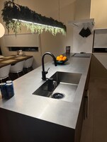 Una cocina moderna con un lavamanos de acero inoxidable, un bol de naranjas y una planta colgante.