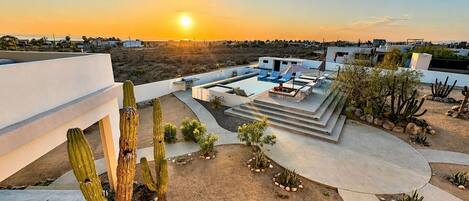 A rooftop pool area with a view of the sunset, surrounded by cacti and desert plants.