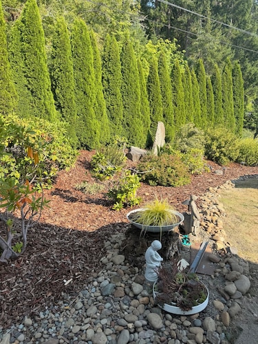Adorable  3-bedroom cottage in charming Union perfect for relaxing stays.