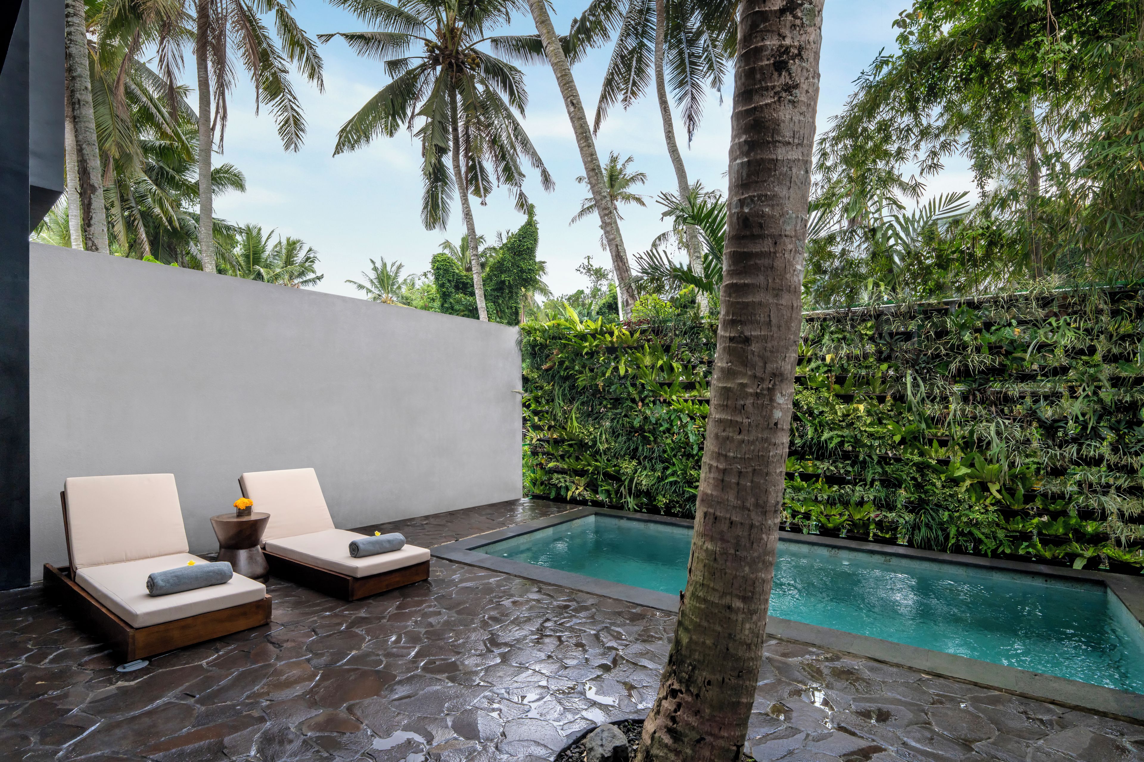 A poolside area with two lounge chairs, a stone floor, and a wall of greenery.