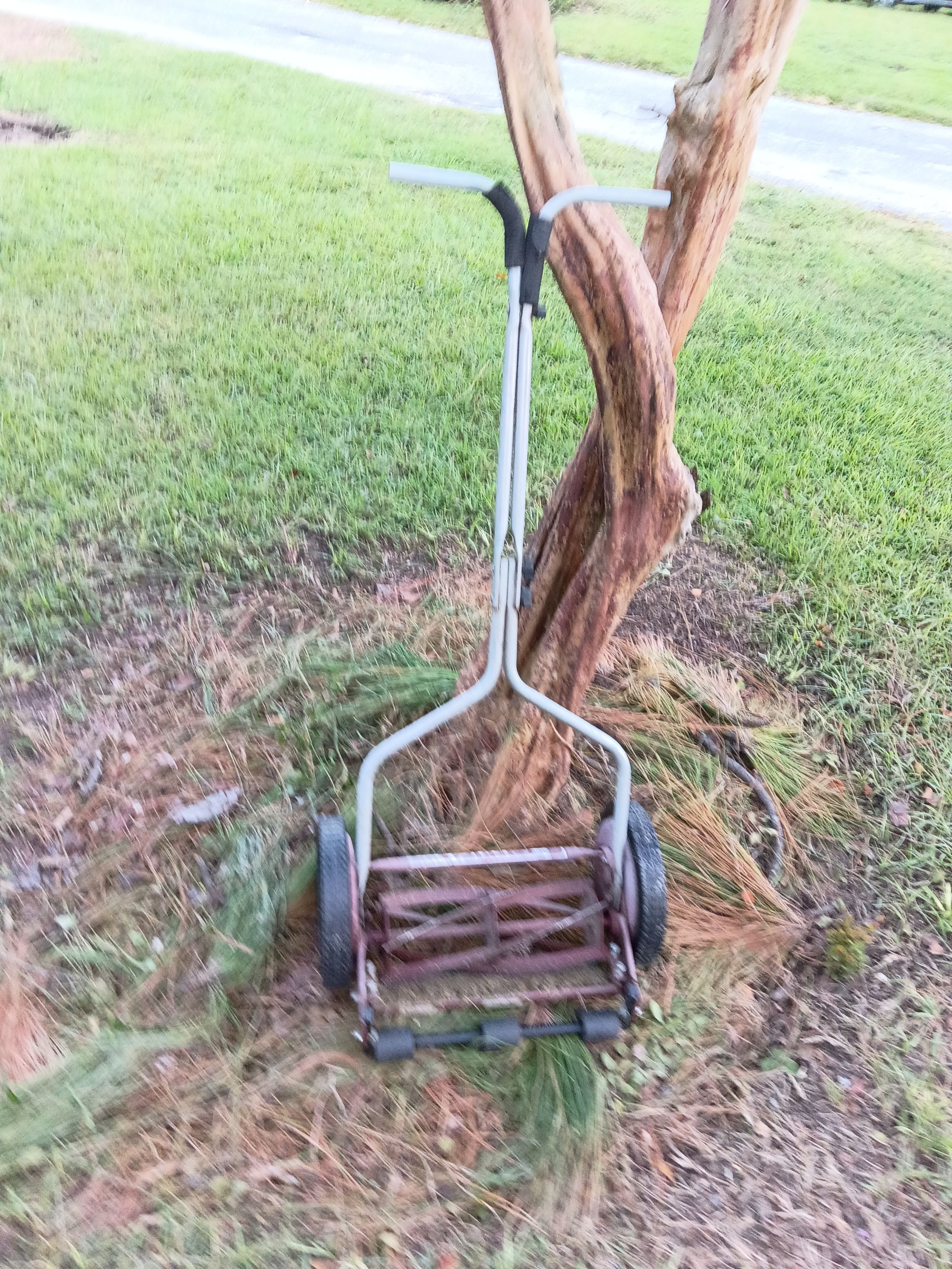 A lawnmower with a metal frame and wheels, positioned on a grassy area with a tree trunk nearby.