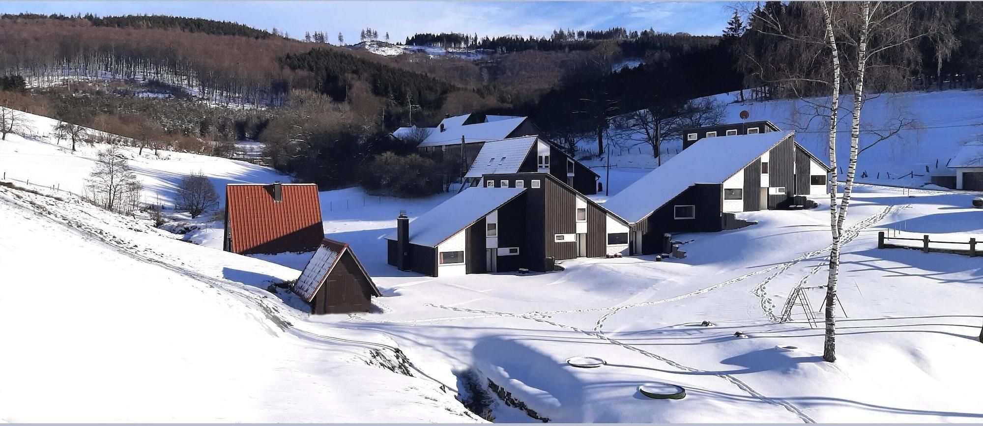A snow-covered village with traditional wooden houses and a red-roofed building.