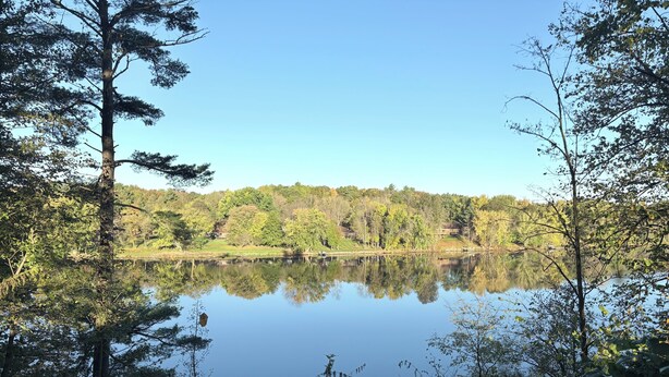 Um lago tranquilo rodeado por uma floresta densa e um céu límpido.