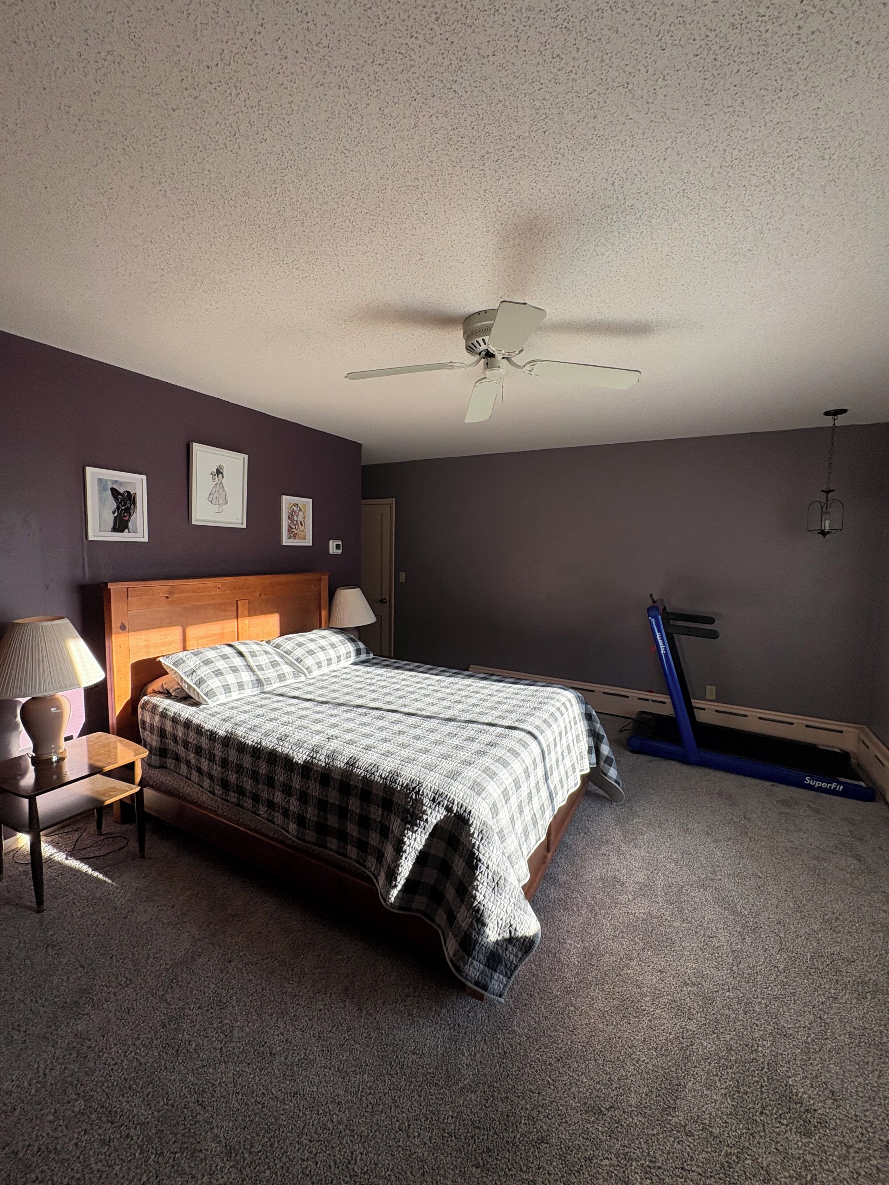 A bedroom with a bed, a ceiling fan, a treadmill, and wall art.