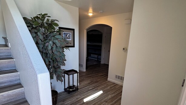 A staircase with a white handrail leading to a landing, a potted plant, and a framed picture on the wall.