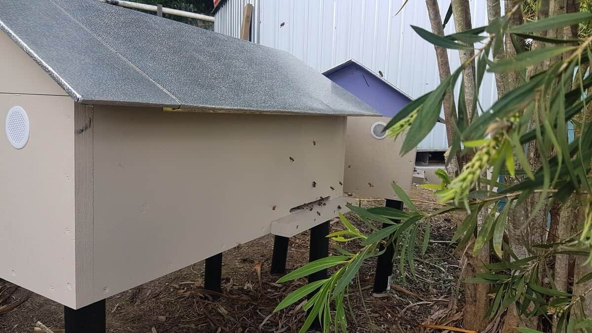 A beehive structure with a slanted roof and a vent on the side, situated outdoors with a tree and a building in the background.