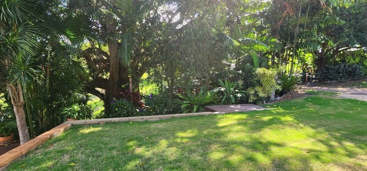 A well-maintained garden with a variety of trees and shrubs, a wooden deck, and a grassy lawn.