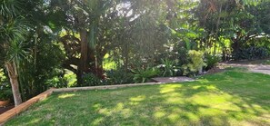 A well-maintained garden with a variety of trees and shrubs, a wooden deck, and a grassy lawn.