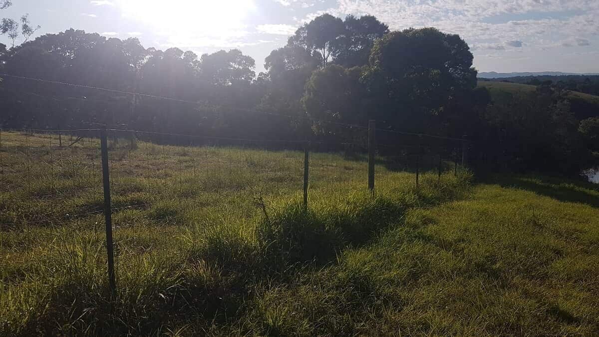 A grassy field with a fence and trees in the background.