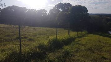 A grassy field with a fence and trees in the background.