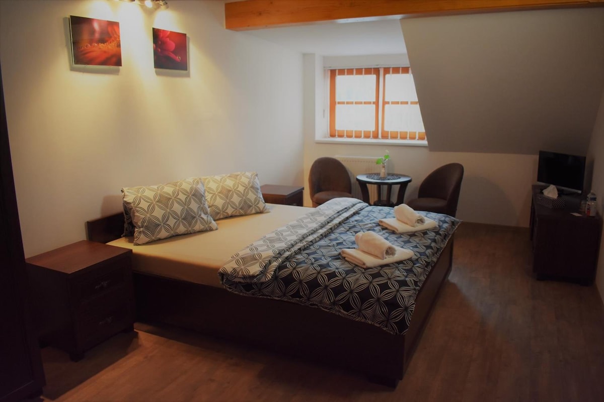 Un dormitorio con una cama, dos sillas, una mesita con una planta y un televisor sobre un mueble bajo.