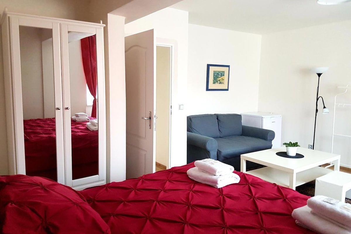 Una habitación de hotel con cama, sofá, escritorio y armario.