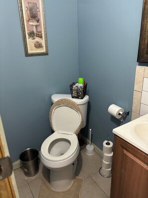 A bathroom with a toilet, a sink, a framed picture on the wall, and a roll of toilet paper on the wall. - 1 bedroom w/yard Einstein Hospital (Philadelphia)
