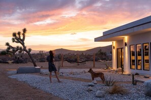 A desert landscape with a modern building, a person walking, and a dog. - Hōkū Hale | Spa | Sauna | Fire Pit | 360° Views (Joshua Tree)
