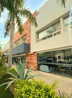 A modern building with a glass storefront, a palm tree, and a well-maintained garden.