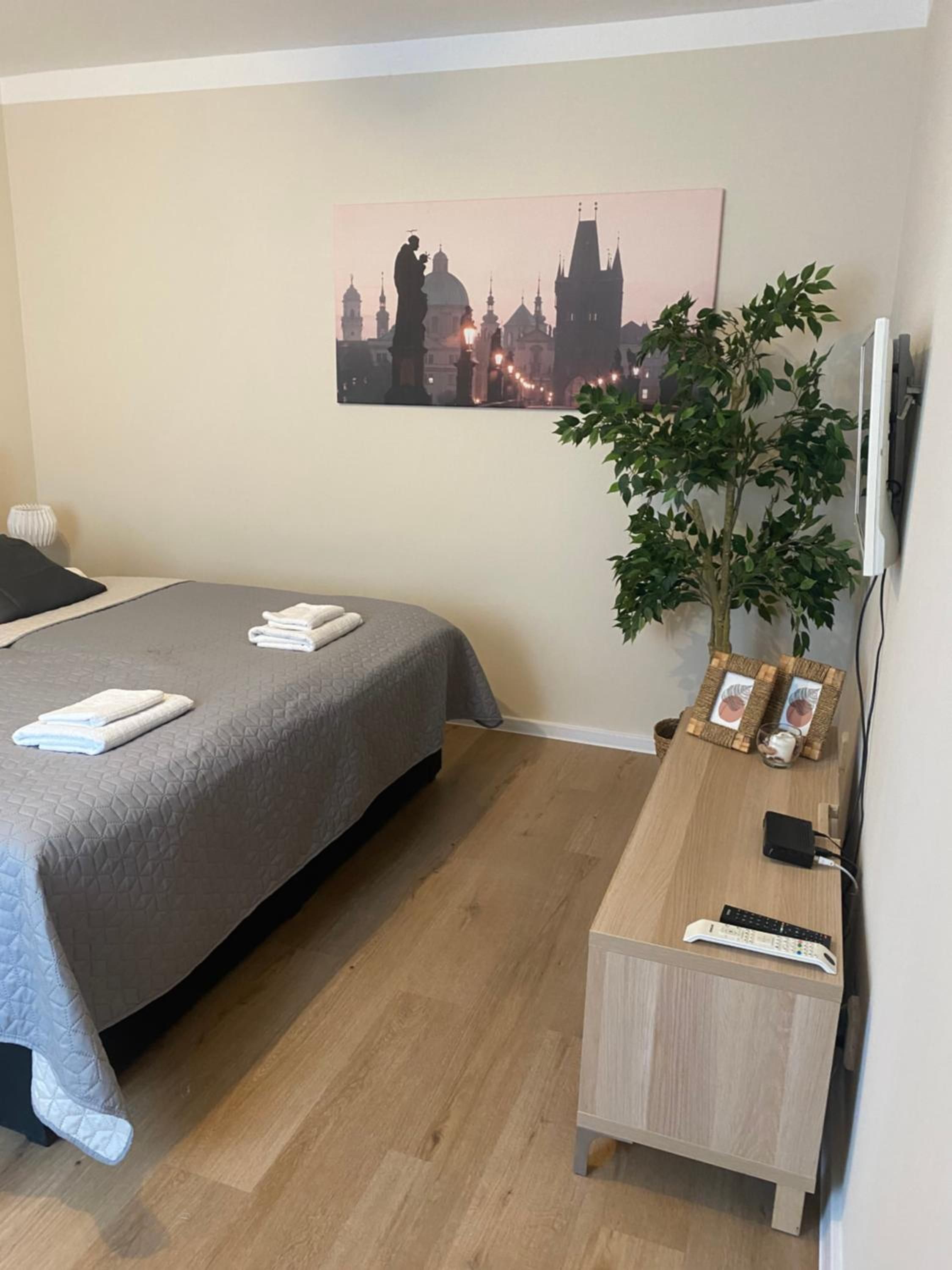 Habitación de hotel con una cama, un escritorio, una planta en maceta, un televisor de pantalla plana y un cuadro con una vista urbana en la pared.