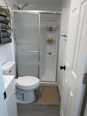 Un bagno con un WC bianco, una cabina doccia in vetro e un piccolo ripiano con articoli da toilette.