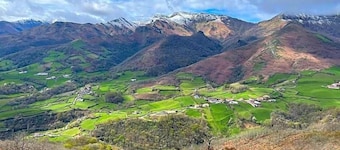 Manexenea
