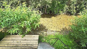 A wooden staircase leading to a grassy area surrounded by dense foliage.
