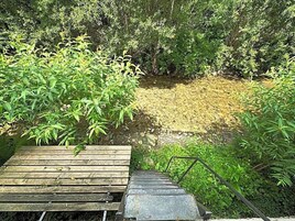 Una escalera de madera que conduce a una zona con césped rodeada de follaje denso.