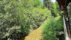 A pathway leading through dense greenery, with a building on the right side. - Maison Platanus (Voineasa)