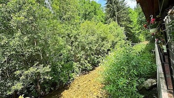 A pathway leading through dense greenery, with a building on the right side.
