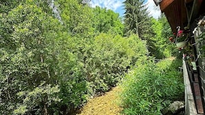 Um caminho serpenteia por vegetação densa, com um edifício ao lado direito.