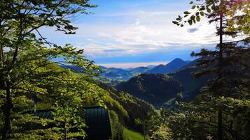 A cabin with a sloped roof surrounded by dense forest and mountains in the background.