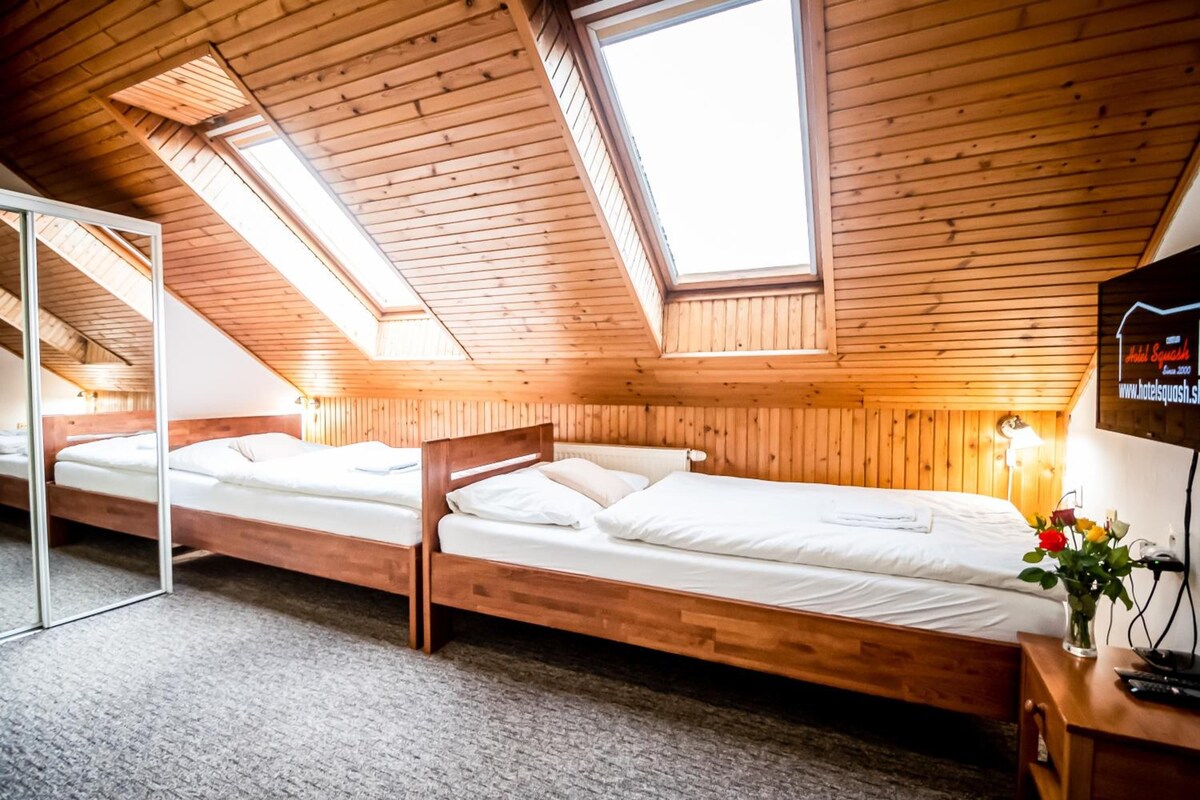 Une chambre avec deux lits en bois, une lucarne et un téléviseur fixé au mur.