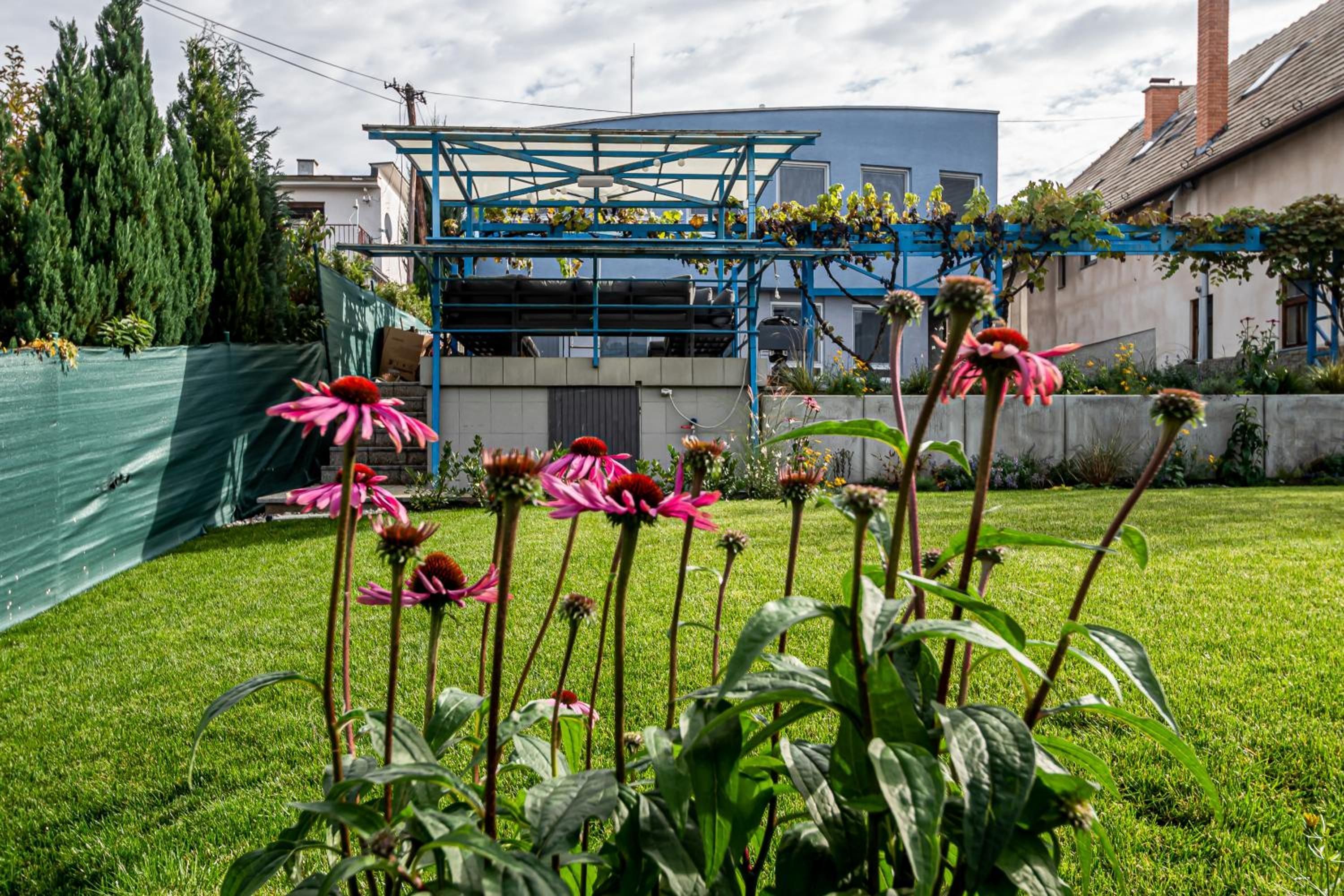 A garden with pink flowers and a blue structure in the background.
