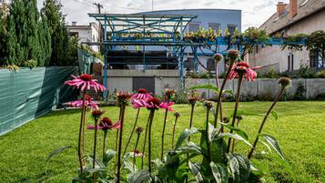 A garden with pink flowers and a blue structure in the background.